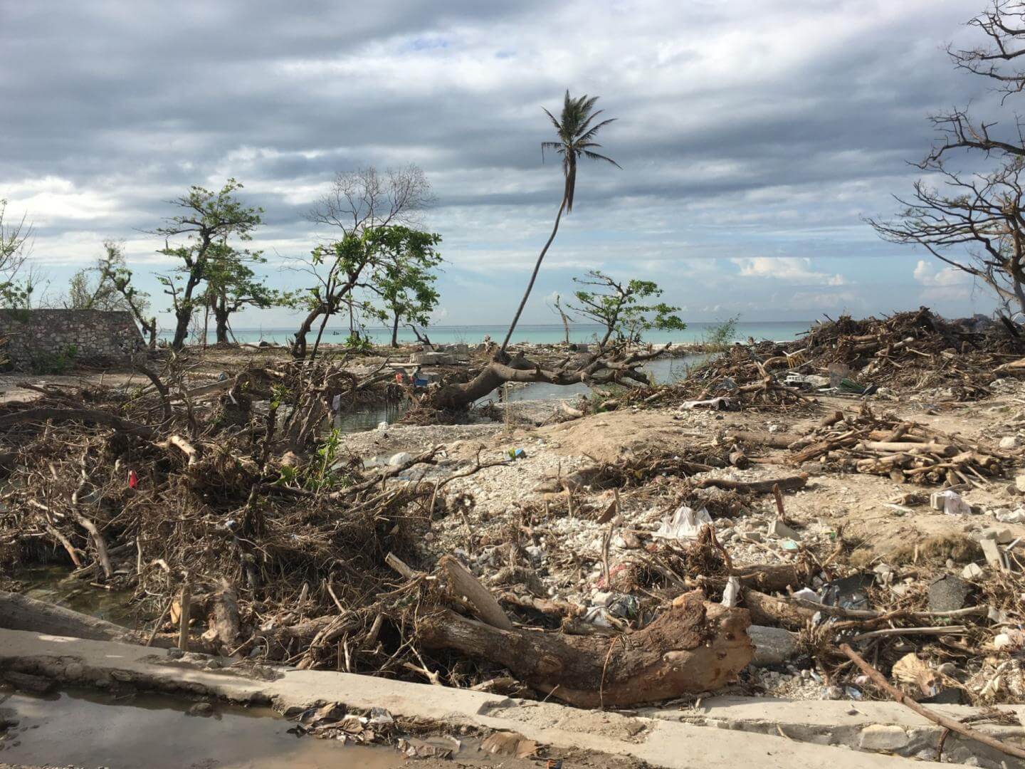 IMPACTOS. Informe de un grupo de científicos internacionales advierte que la crisis climática ya está generando impactos negativos.