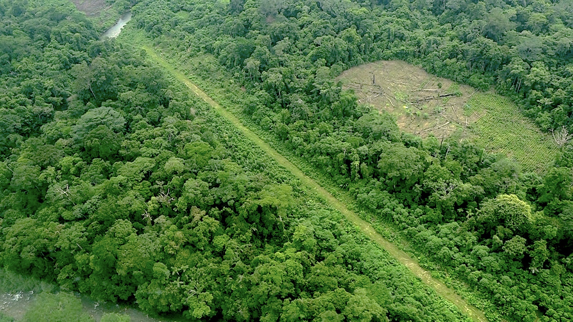 OCULTAS. Pistas de aterrizaje se ubican en distritos como Masisea, Curimaná y Nueva Requena. 