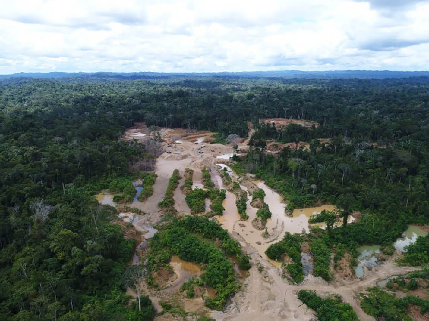DAÑOS. La brecha entre la destrucción y restauración de ecosistemas se va ampliando.