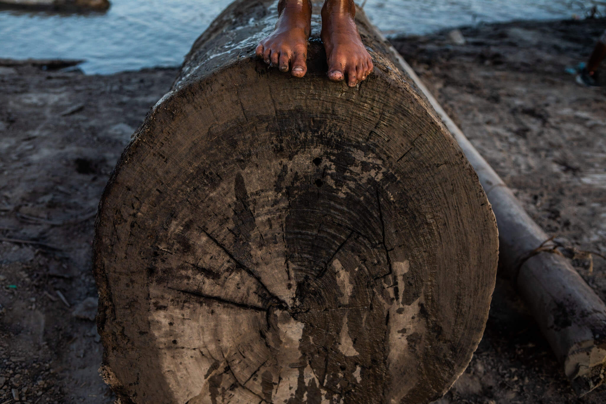 TALA. El algoritmo de OjoPúblico pondera los riesgos de comercio ilegal de madera amazónica.