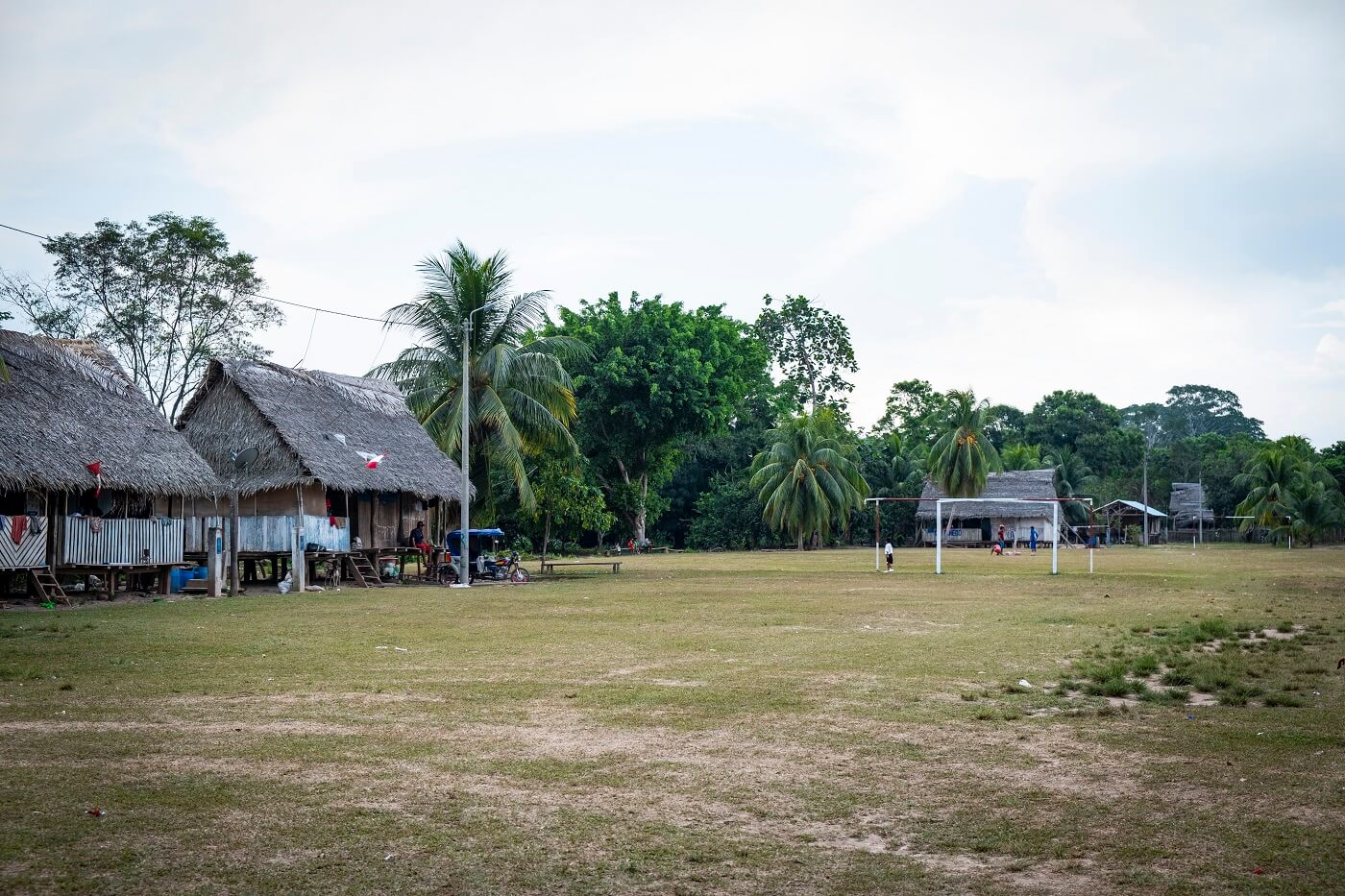 DECLARACIÓN. La empresa Ocho Sur niega cualquier relación con la pérdida de bosques en Ucayali, región donde tiene sus actividades en el sector de palma aceitera. 