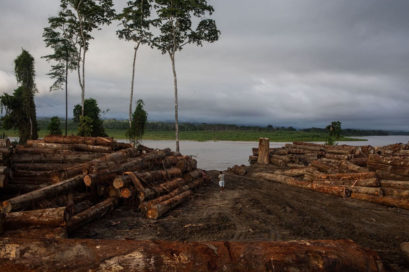 PENDIENTE. Desde mayo del año pasado, con una demanda presentada al Poder Judicial, el Produce se niega a entregar datos sobre empresas madereras. 