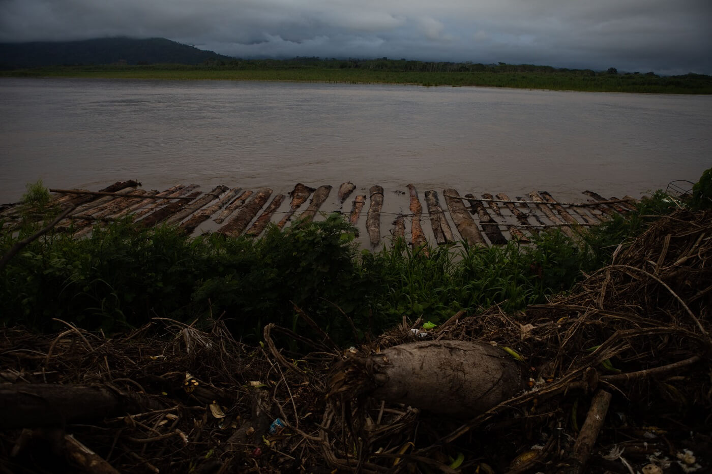 DIFERENCIAS. El Organismo de Supervisión de Recursos Forestales tiene un índice de ilegalidad inferior a los resultados de dos algoritmos presentados en los últimos meses.