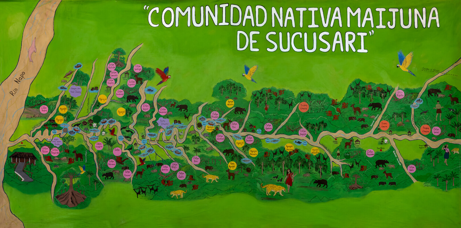 DETALLES. Mapa de la comunidad maijuna de Sucusari, cada espacio tiene nombre propio.