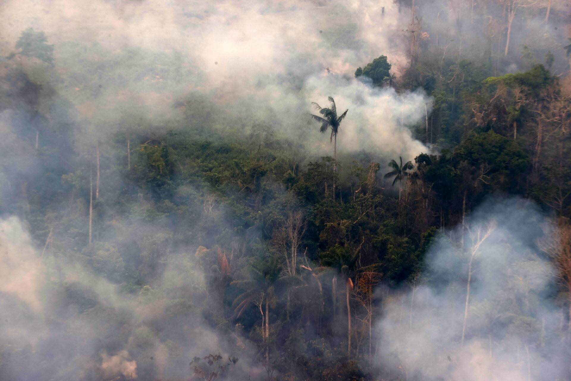 Pese a que incendios forestales se hacen más recurrentes, el país no cuenta con un plan multisectorial para prevenirlos.