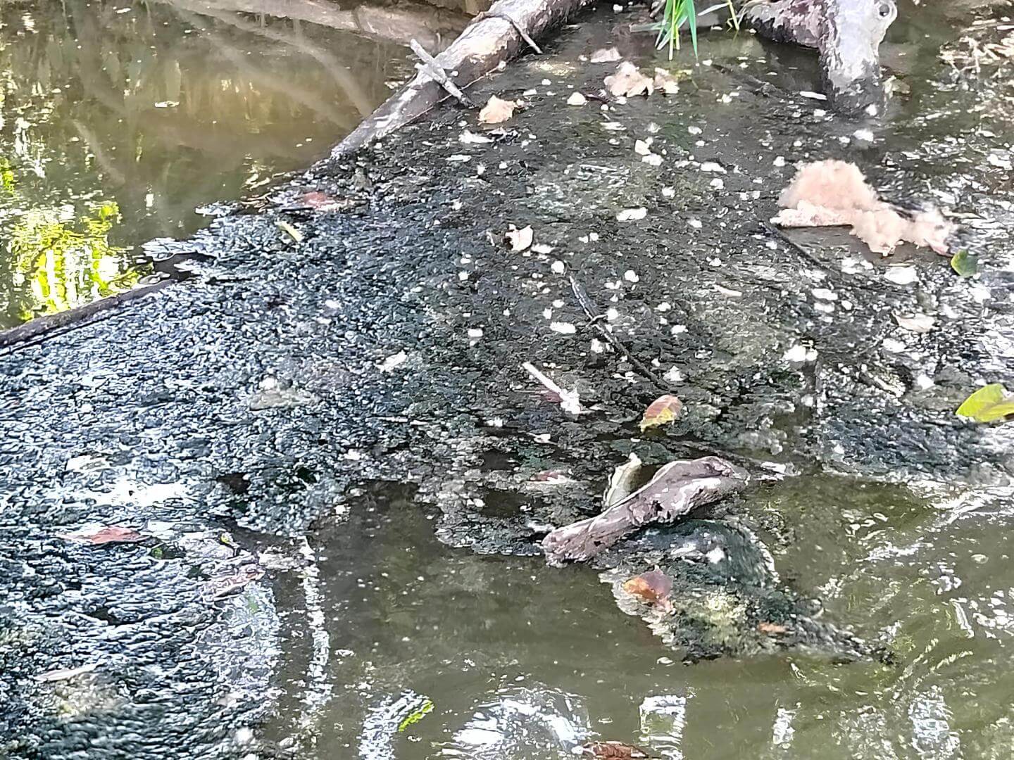 AFECTACIONES. Derrame se extendió 75 kilómetros por el río Pastaza, afectando a comunidades indígenas kichwa y achuar, según informe del OEFA.