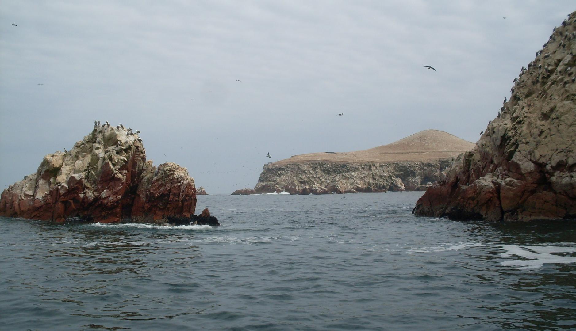 ALERTA. Entre 2020 y 2021, 11 pesqueras fueron sancionadas en primera instancia por pescar en la Reserva de Paracas. Si decreto prospera, la mayoría podría quedar impune.