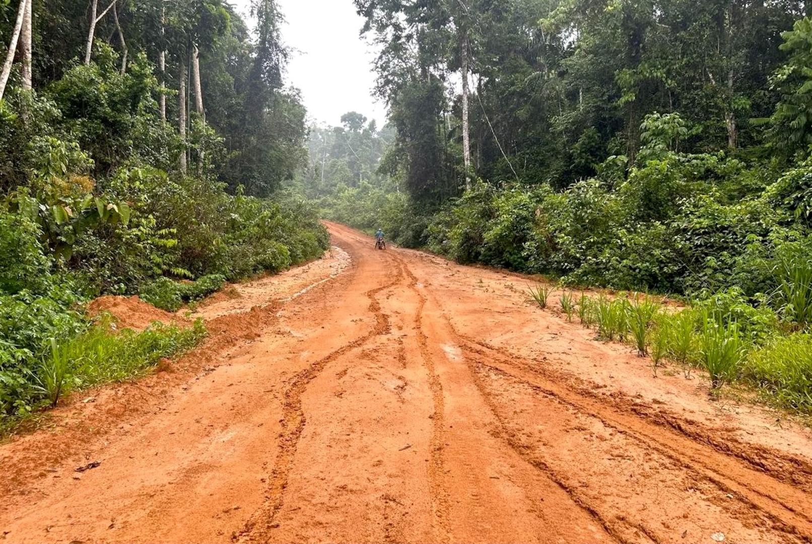 PRESENTE. En zonas aledañas a la vía Nueva Italia - Puerto Breu hay presencia de tráfico de madera, cultivo ilegal de hoja de coca y narcotráfico con dirección a Brasil.