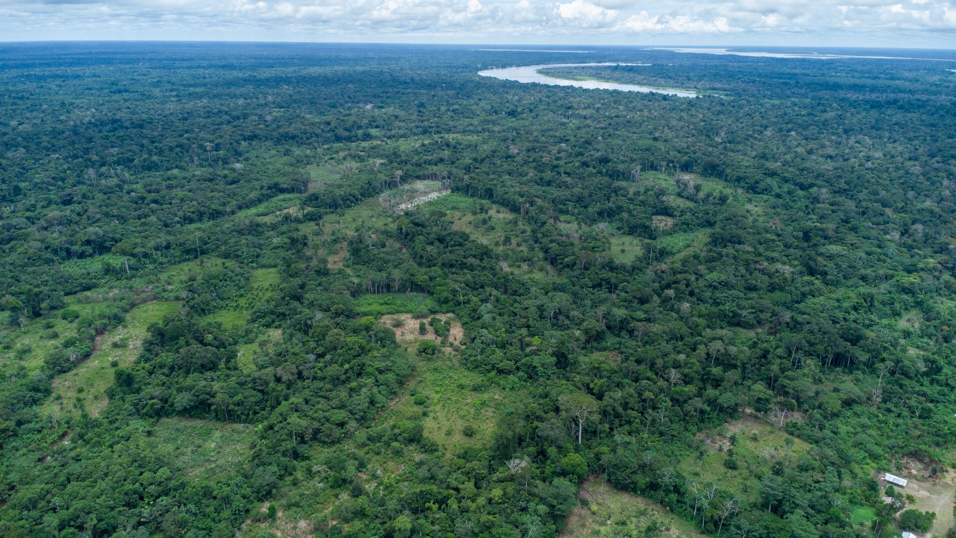 DEFORESTACIÓN. Un paquete de 12 iniciativas legislativas es cuestionado por organizaciones indígenas y ambientales por su posible impacto en la Amazonía.