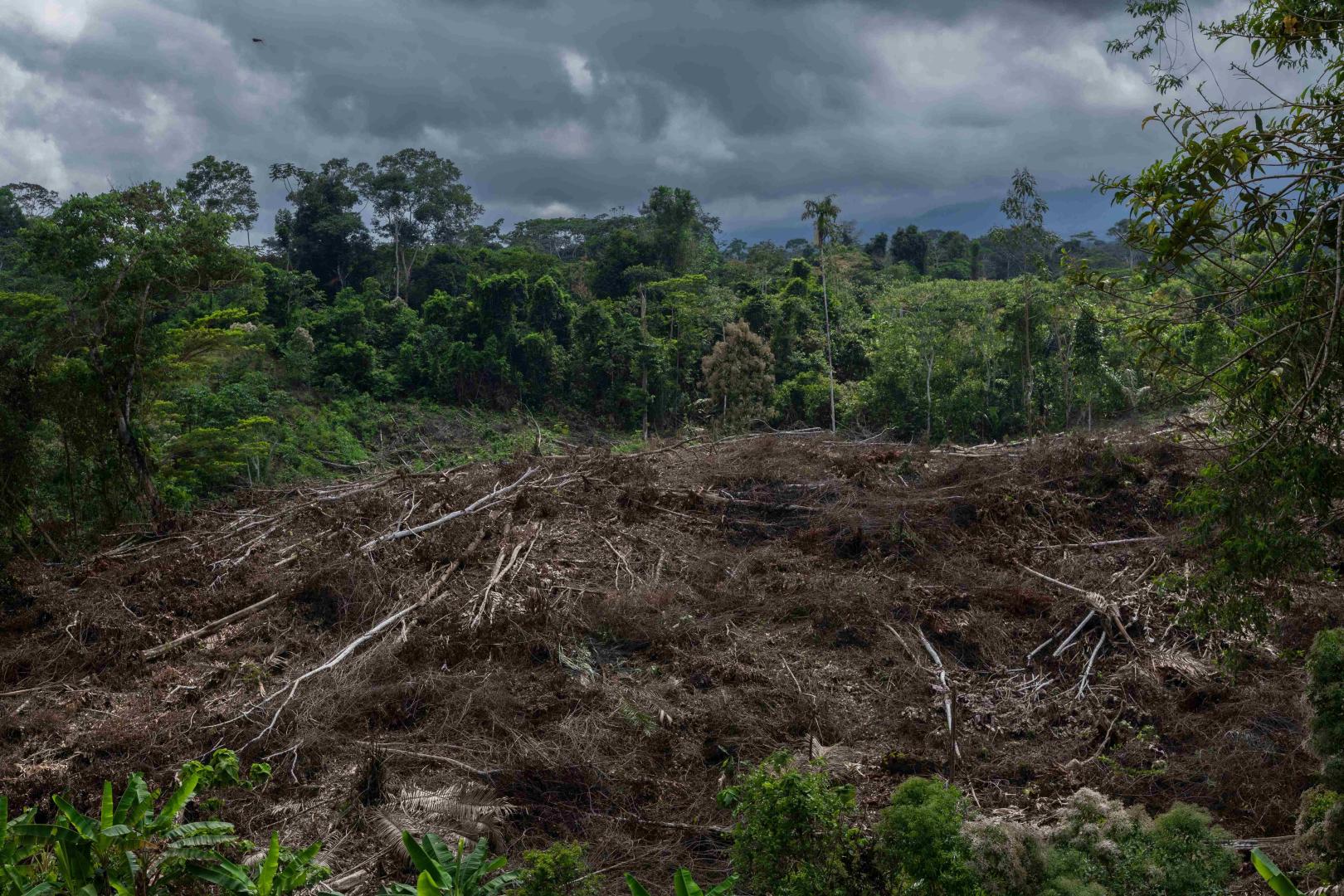 PROTECCIÓN. La ley forma parte del Pacto Verde Europeo, la estrategia de la Unión Europea para transformar su economía.