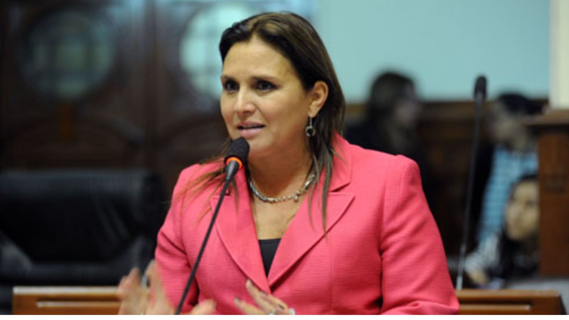 Es falso el dato de Marisol Pérez Tello acerca de que legisló a favor del aborto terapéutico cuando fue ministra de Justicia