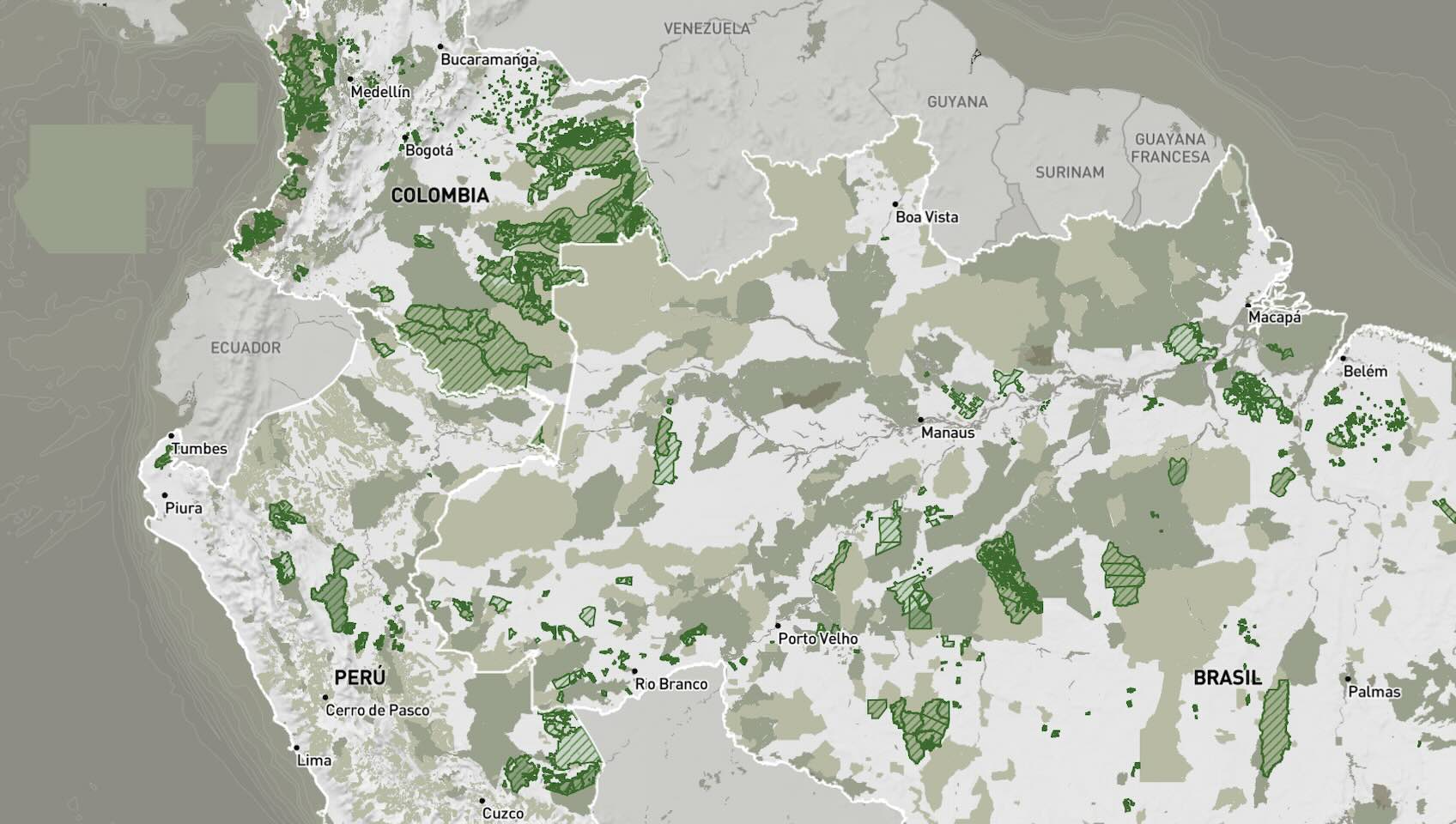 Especial elecciones 2026