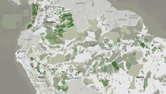 Especial elecciones 2026