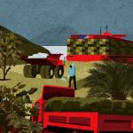 RIESGOS. En el último año, las exportaciones de materias primas de la Amazonía aumentaron pero no hay claridad sobre la sostenibilidad de su origen.