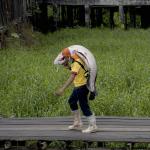 Paiche en la frontera 