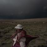 OLVIDO. La cadena productiva de la alpaca no resulta rentable para las familias que crían rebaños pequeños, pero la mayoría de productores en Perú lo son.