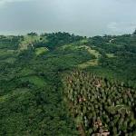 PROPUESTAS. En las regiones San Martín y Ucayali se ha vuelto usual la venta de lotes en zonas cercanas a áreas naturales. 