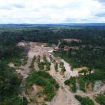 DAÑOS. La brecha entre la destrucción y restauración de ecosistemas se va ampliando.