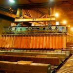 NORMAS. Ejecutivo emitió decretos supremos que afectan la gestión ambiental. 