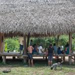 EN PELIGRO. Alto Esperanza del río Inuya, comunidad indígena en contacto inicial, busca titular su territorio ancestral, pero enfrenta a invasores y actividades ilícitas.