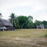 DECLARACIÓN. La empresa Ocho Sur niega cualquier relación con la pérdida de bosques en Ucayali, región donde tiene sus actividades en el sector de palma aceitera. 