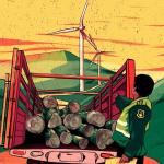 RIESGOS. El incremento en los valores de venta de madera balsa peruana hacia Ecuador ha tenido de fondo casos de crimen organizado por tráfico forestal de esta especie.