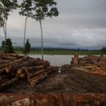 PENDIENTE. Desde mayo del año pasado, con una demanda presentada al Poder Judicial, el Produce se niega a entregar datos sobre empresas madereras. 