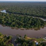 AMAZONÍA. El 39% de las 27,8 millones de hectáreas que almacenan la mayor cantidad de carbono en la Amazonía están amenazadas.