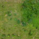 ALERTAS. La Red Investigativa Transfronteriza de OjoPúblico identificó la presencia de grupos criminales y su participación en economías ilícitas, en localidades amazónicas.