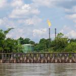 YASUNI. En 2023, un referéndum histórico determinó el fin de la actividad petrolera en este parque nacional de Ecuador, pero hasta ahora el gobierno no cesa en las operaciones.