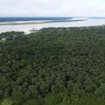 AMENAZAS AL BOSQUE. En la provincia de Mariscal Ramón Castilla, los cultivos de coca se triplicaron entre 2019 y 2024.