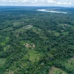 DEFORESTACIÓN. Un paquete de 12 iniciativas legislativas es cuestionado por organizaciones indígenas y ambientales por su posible impacto en la Amazonía.