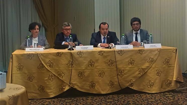 EXPOSICIÓN. El equipo de la CIDH declaró haber recogido diversos testimonios vinculados al uso desmedido de la fuerza policial.