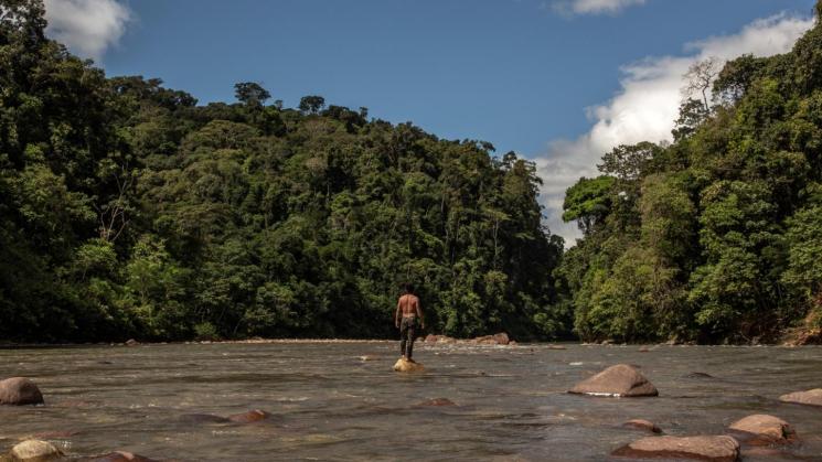 ESCENARIOS. Estudio advierte que el territorio del pueblo indígena kakataibo en Perú es una zona de muy alta presión por parte de invasores.