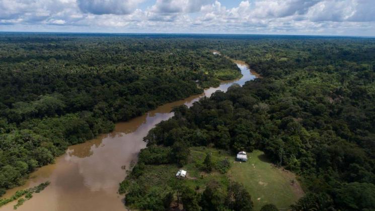 MATERIA PRIMA. Antes de llegar hasta un centro de transformación primaria, la madera puede recorrer cientos de kilómetros por río o carretera. 