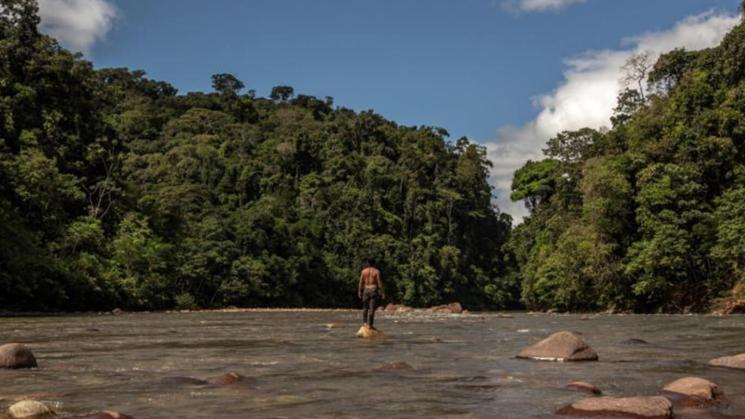 The journalist who will join OjoPúblico's team will focus on environmental, Amazonian and human rights issues.