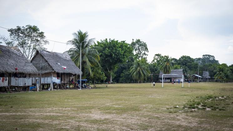 POSTURA. El grupo Ocho Sur, uno de los principales productores de aceite de palma del país, asegura que en sus territorios ni los de sus proveedores se ha perdido bosque.