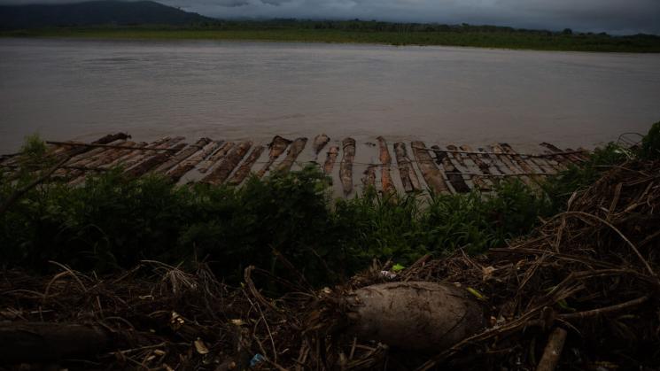 DIFERENCIAS. El Organismo de Supervisión de Recursos Forestales tiene un índice de ilegalidad inferior a los resultados de dos algoritmos presentados en los últimos meses.