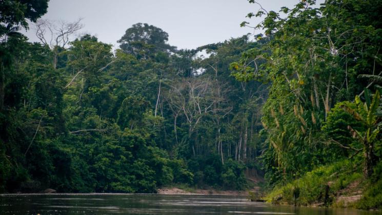 COSMOVISIÓN. Para los wampis y awajún existen tres mundos: agua, cielo y tierra.  La deidad de este último es Nunkui.