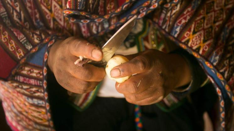 DESBALANCE. En la cocina peruana hay un desbalance de poder, similar a la relación entre la diseñadora Anís Samanez y la comunidad shipibo-konibo, sostiene la autora. 