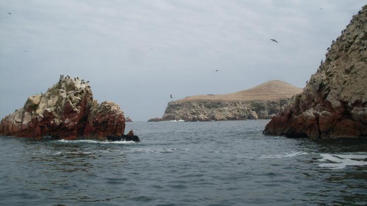 ALERTA. Entre 2020 y 2021, 11 pesqueras fueron sancionadas en primera instancia por pescar en la Reserva de Paracas. Si decreto prospera, la mayoría podría quedar impune.
