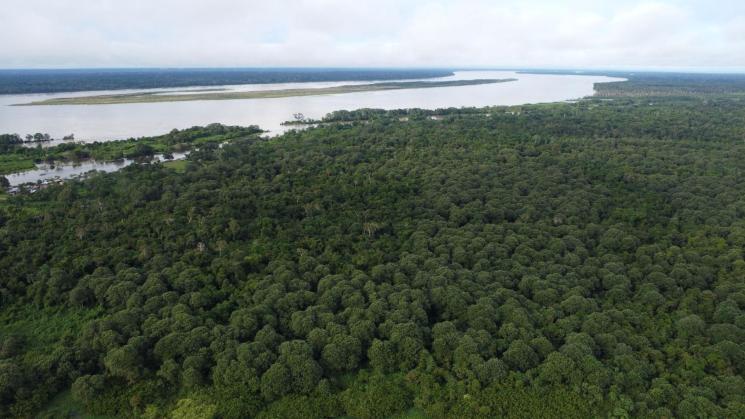 AMENAZAS AL BOSQUE. En la provincia de Mariscal Ramón Castilla, los cultivos de coca se triplicaron entre 2019 y 2024.