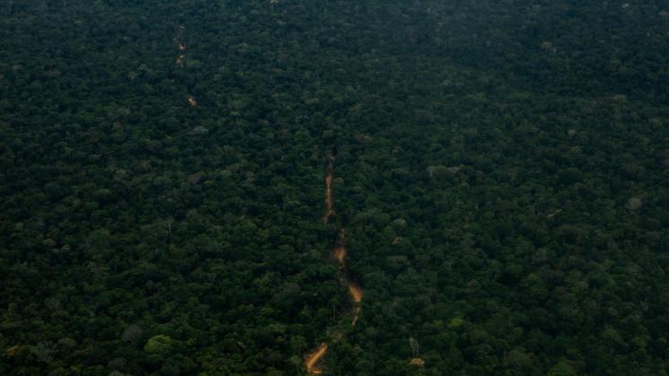 DESAFÍO. La pérdida de acceso a imágenes satelitales de alta resolución dificulta el monitoreo efectivo de la deforestación en la Amazonía peruana.