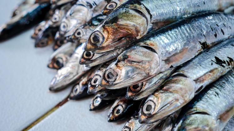 CLAVE. Con la comparación de muestreos, la Contraloría detectó que Produce había archivado procesos sancionadores sin considerar precedentes administrativos y judiciales.