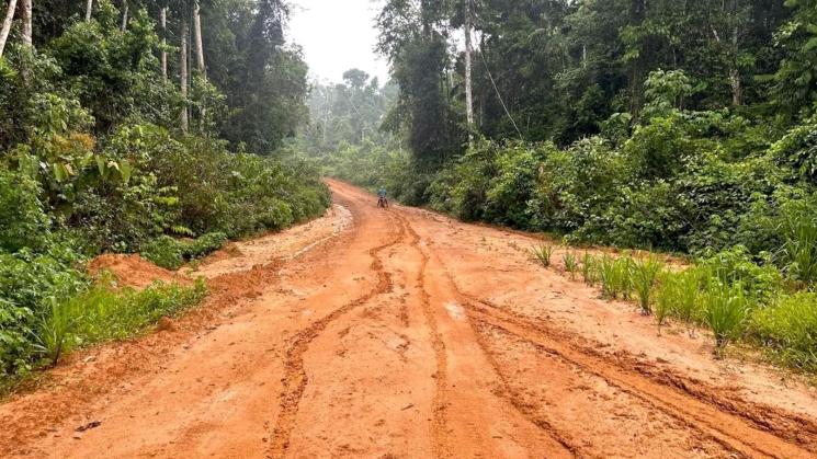 PRESENTE. En zonas aledañas a la vía Nueva Italia - Puerto Breu hay presencia de tráfico de madera, cultivo ilegal de hoja de coca y narcotráfico con dirección a Brasil.