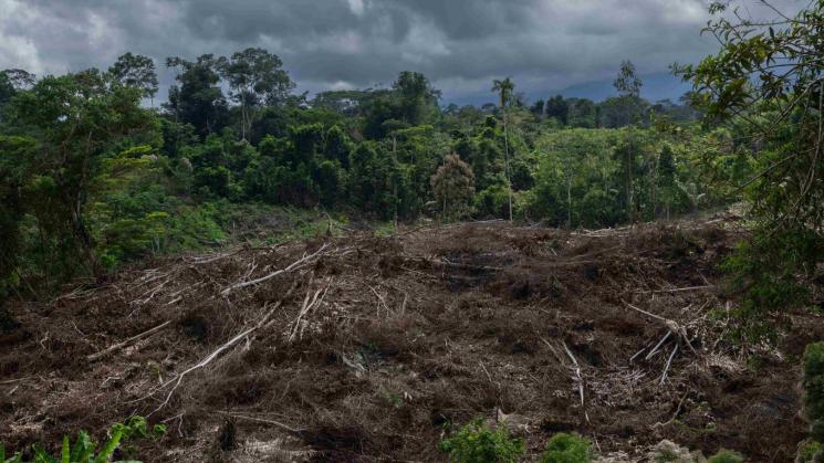 PROTECCIÓN. La ley forma parte del Pacto Verde Europeo, la estrategia de la Unión Europea para transformar su economía.