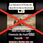 Falso: El video de un rescate policial a personas atrapadas por un huaico en Carapongo no es actual