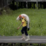 Paiche en la frontera 