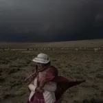 OLVIDO. La cadena productiva de la alpaca no resulta rentable para las familias que crían rebaños pequeños, pero la mayoría de productores en Perú lo son.