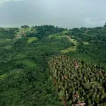 PROPUESTAS. En las regiones San Martín y Ucayali se ha vuelto usual la venta de lotes en zonas cercanas a áreas naturales. 